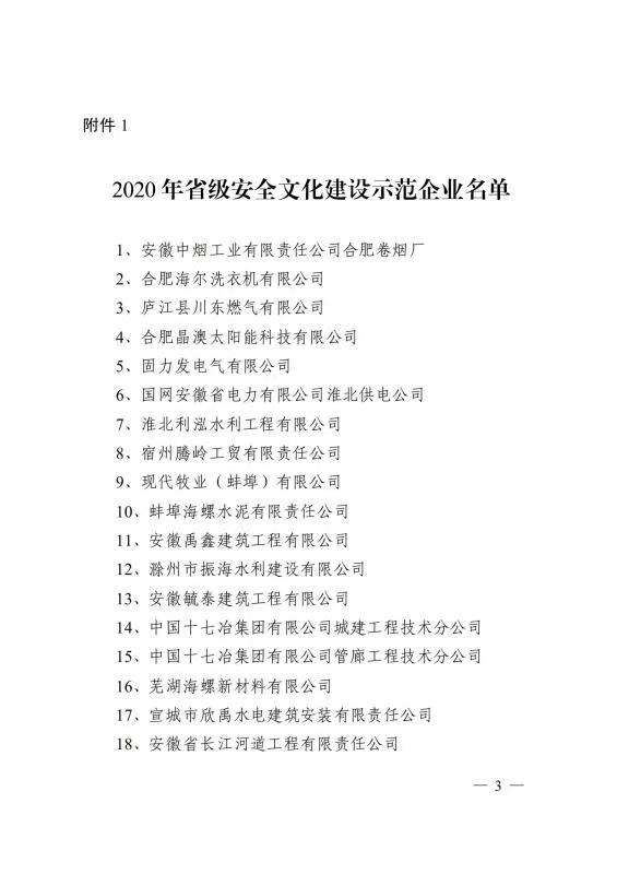 公司榮獲“省級(jí)安全文化建設(shè)示范企業(yè)”稱號(hào)(圖3)